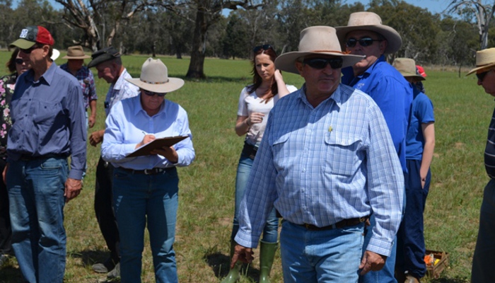 Clearing Sale Auctioneer